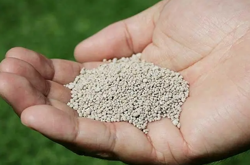 硼肥的作用 硼肥是什么肥料