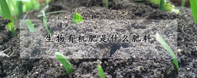 生物有机肥是什么肥料 生物有机肥是什么肥料成分