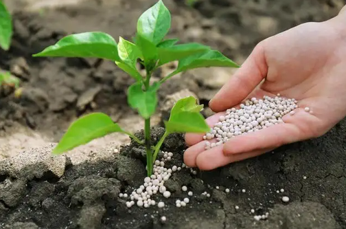 化学肥料与有机肥料 化学肥料与有机肥料的优劣