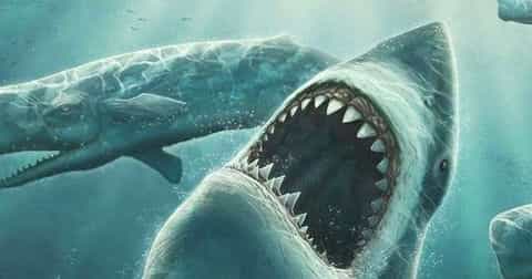 巨齿鲨已经确认灭绝了吗？ 巨齿鲨已经确认灭绝了吗为什么
