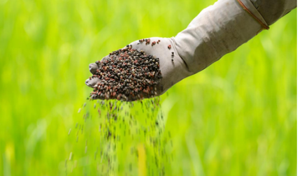 氮肥、磷肥、钾肥的作用是什么 氮肥,磷肥,钾肥的作用是什么意思