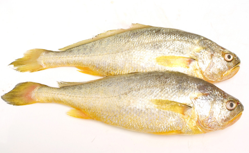 黄花鱼是淡水鱼还是海水鱼 5种公认最好吃的海鱼