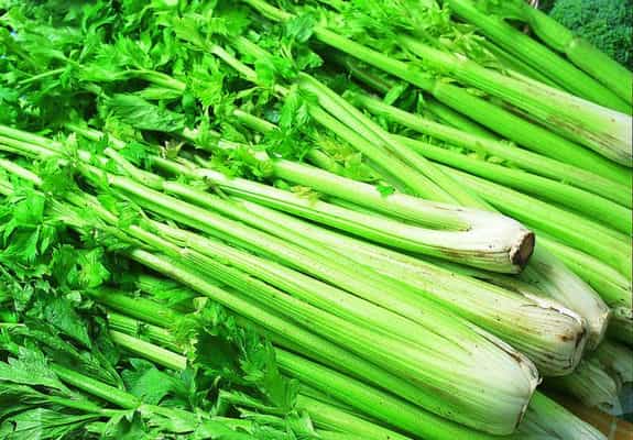 芹菜的种植技术 白芹菜的种植方法和时间
