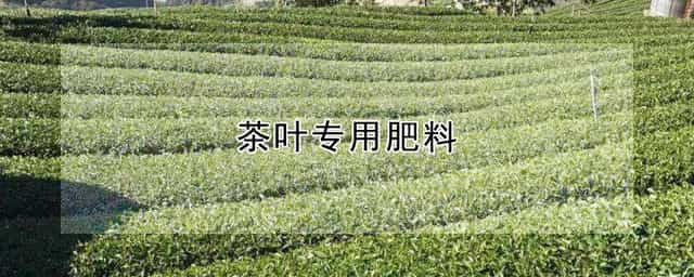 茶叶专用肥料 茶叶专用肥料料包装